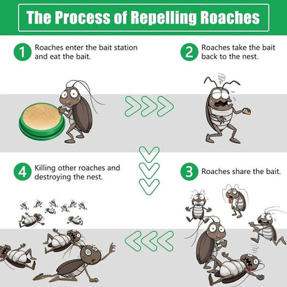 Cockroach Killer Gel - 12 Pieces Each Pack of 2 for Home Use  (2 x 12 Units)